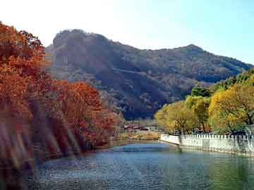 澳门天天彩期期精准平肖，岩峰湿喷机